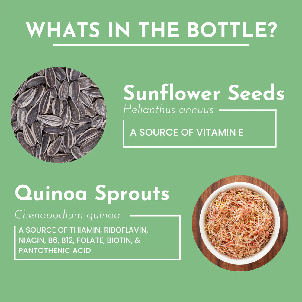 Just Ingredients Multivitamin Supplement
