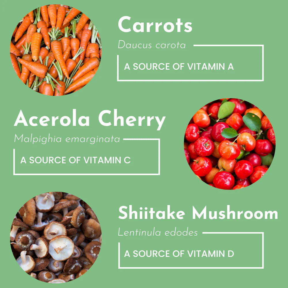 Just Ingredients Multivitamin Supplement